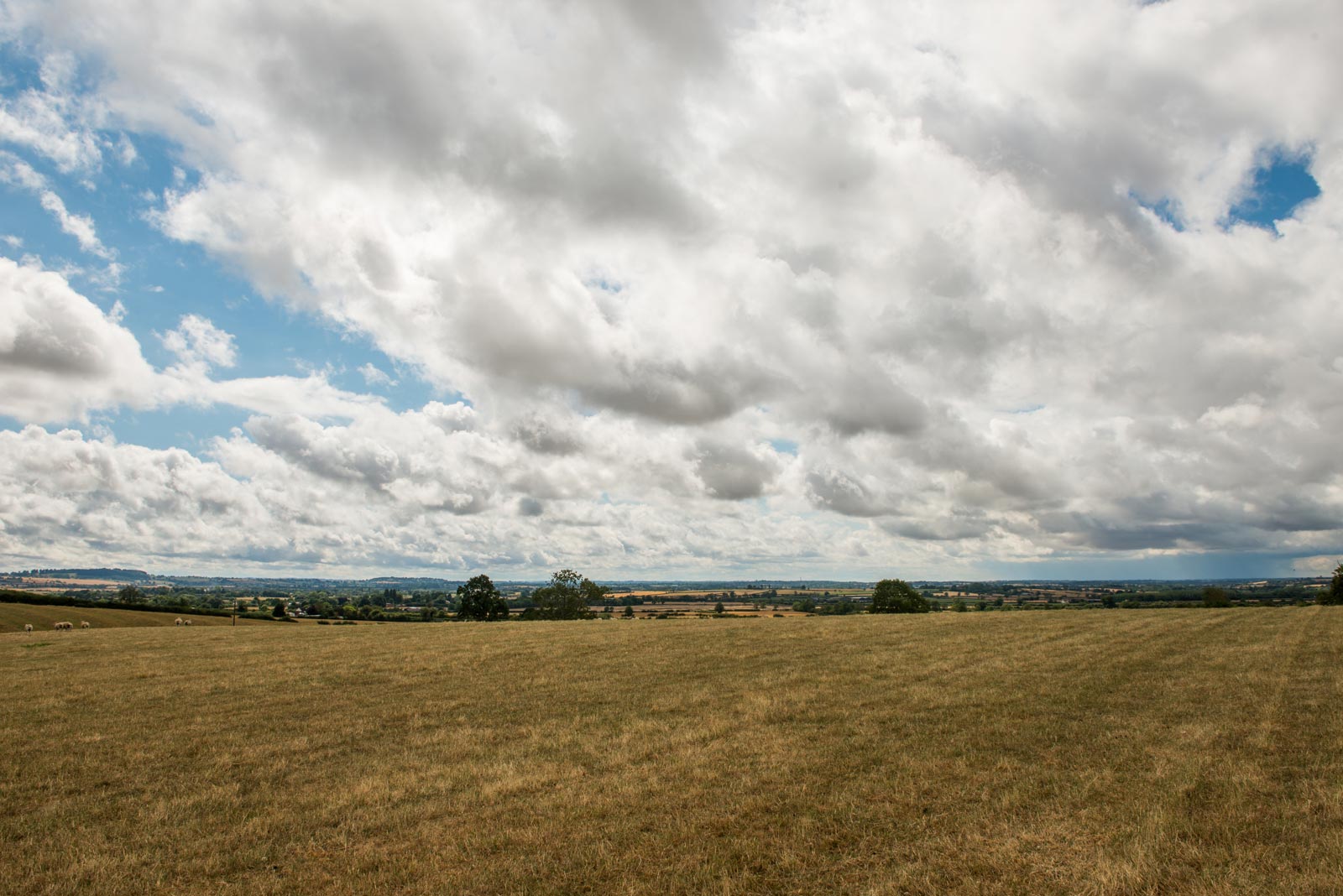 Newnham Hall Farms